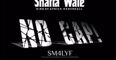 Shatta Wale - No Cap