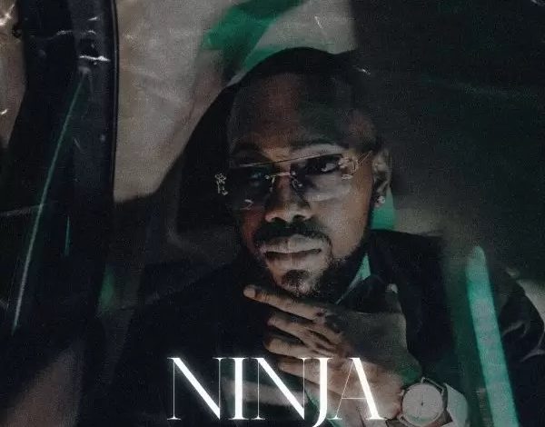 Tulenkey - Ninja Ft. Kwaku DMC