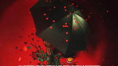 Naab - Adwoa Serwaa ft. Skyface SDW x O'Kenneth