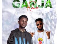 Walasky - Ganja Remix Ft. Ypee