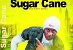 Naa Agyeman - Sugar Cane