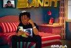 4mula Energy - Bandit