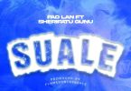 Fad Lan - Suale Ft. Sherifa Gunu