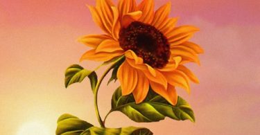 Kuvie - Don't Play Ft. Khalifina & Cina Soul