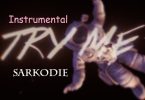 Sarkodie - Try Me Instrumental