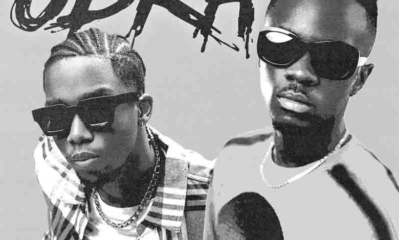 Yaw Tog - Obra Ft. Roiii