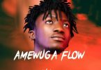 DJ Donzy - Kwesi Amewuga Flow Mix