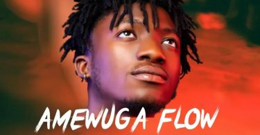 DJ Donzy - Kwesi Amewuga Flow Mix