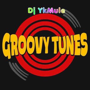 DJ YK Mule - Groovy Tune