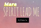 DJ YK Mule - Mara Spirit Lead Me