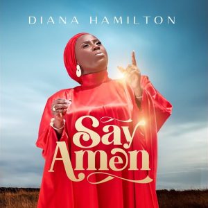 Diana Hamilton - Say Amen