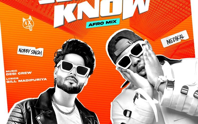 Nobby Singh - You Will Know (Afro Mix) Ft. Medikal