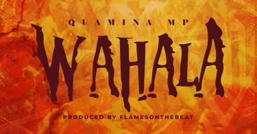 Quamina MP - Wahala