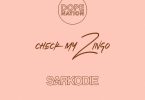 DopeNation - Check My Zingo (Remix) Ft Sarkodie
