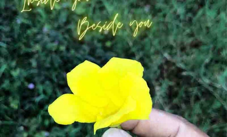 Magnom - Inside You Beside You