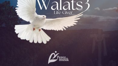 Perez Musik - Walats3 (Life Giver)