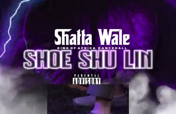 Shatta Wale - Shoe Shu Lin