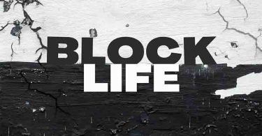 Skillz 8Figure - Block Life