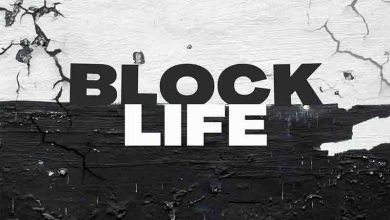 Skillz 8Figure - Block Life