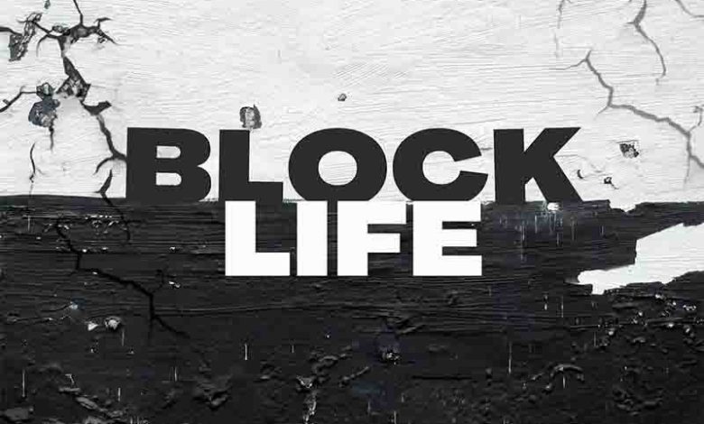 Skillz 8Figure - Block Life