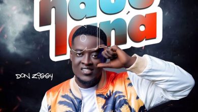 Don Ziggy - Nduu Lana