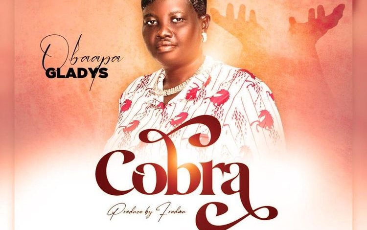 Obaapa Gladys - Nipa Ye Cobra