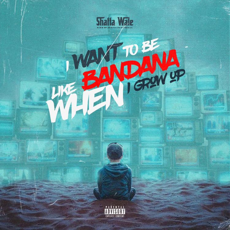 Shatta Wale - I Want To Be Like Bandana