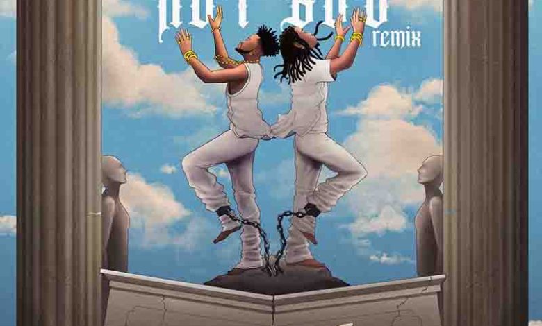 Fameye - Not God (Remix) Ft. Stonebwoy