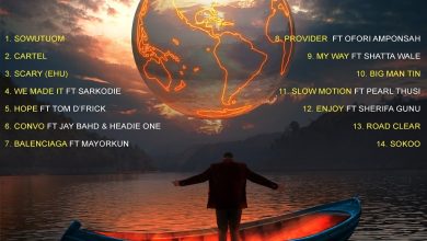 Medikal - Planning and Plotting Album list