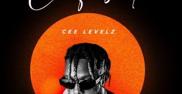 Cee Levelz - Confused