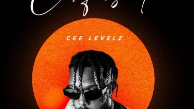 Cee Levelz - Confused