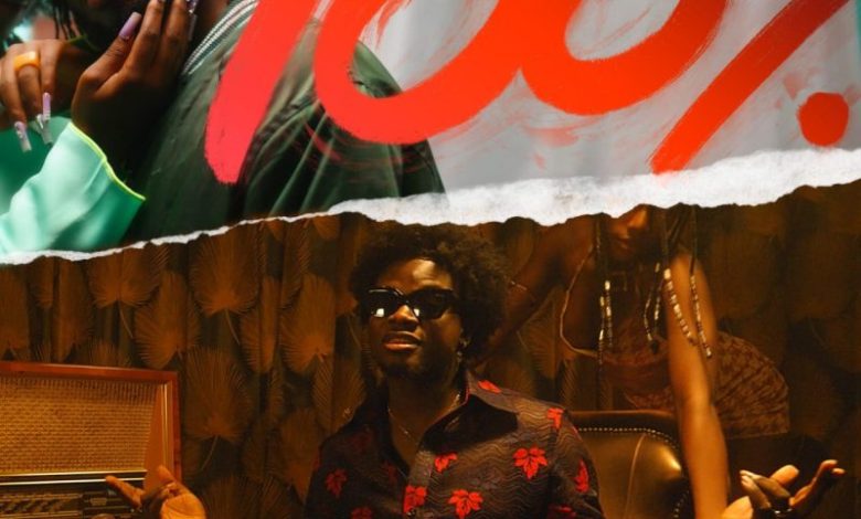 Fuse ODG ft. Kuami Eugene - 100%