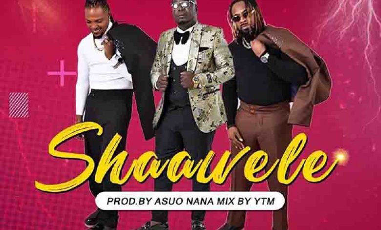 King Jerry - Shaa Wele ft. FBS