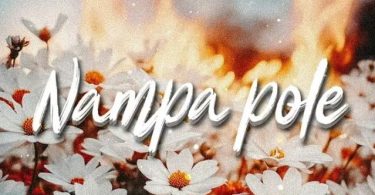 Hanstone - Nampa Pole