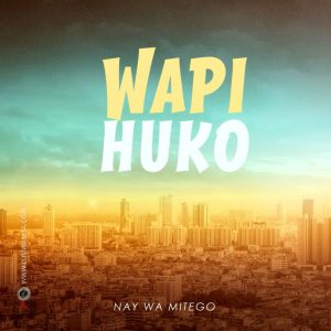 Nay Wa Mitego - Wapi Huko