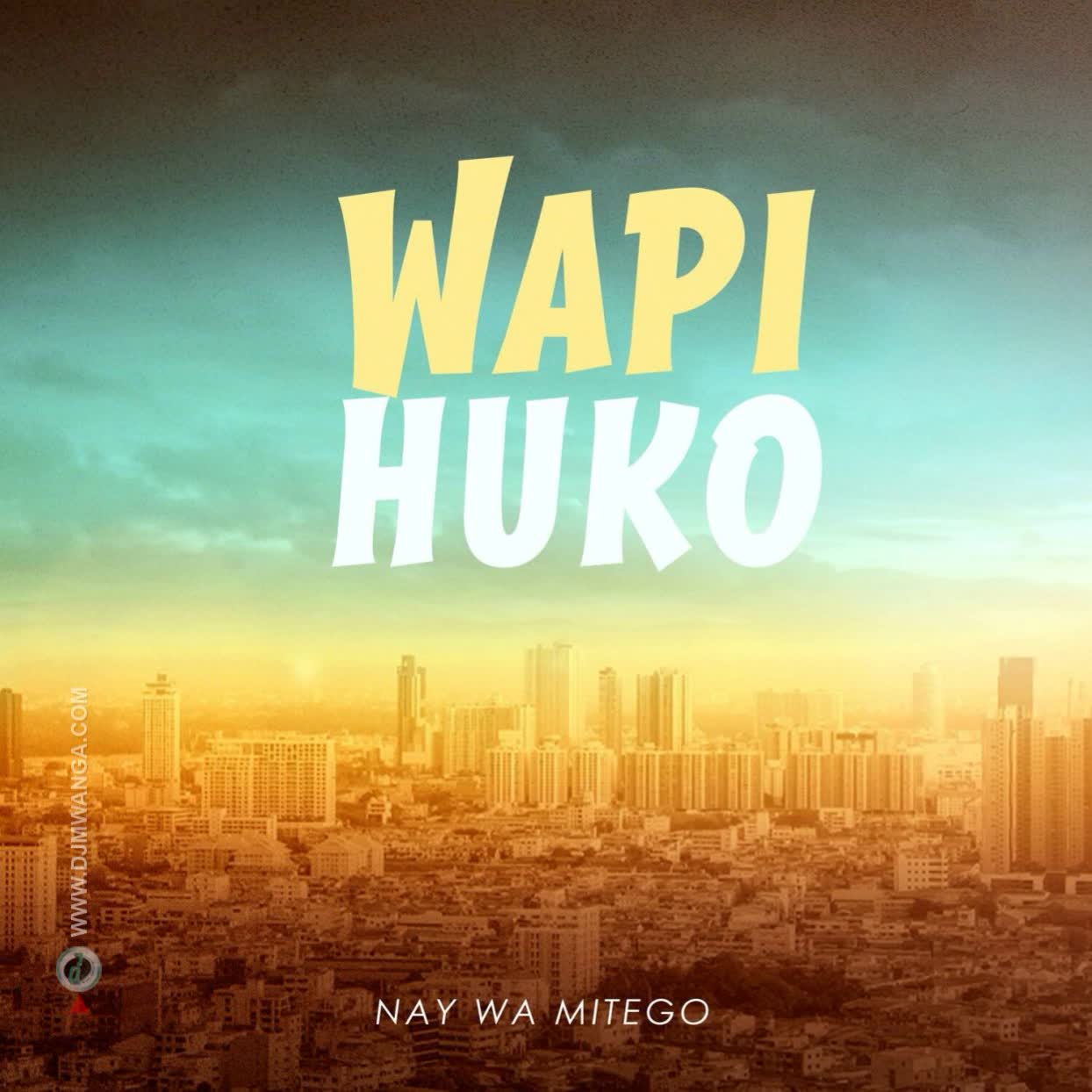 Nay Wa Mitego – Wapi Huko