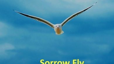 Safo Newman - Sorrow Fly