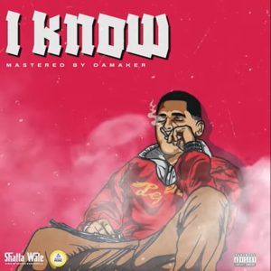 Shatta Wale - I Know