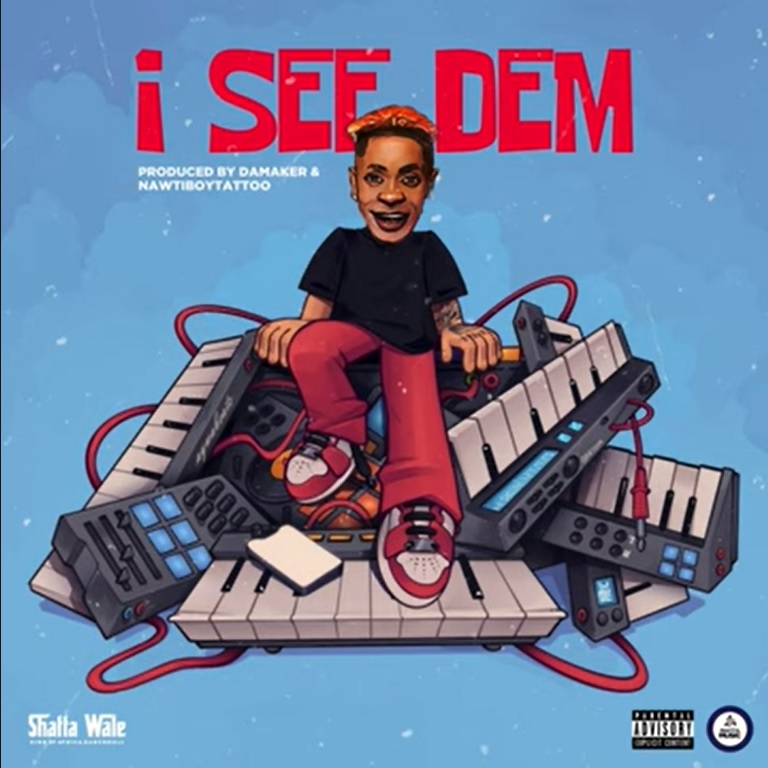 Shatta Wale - I See Dem