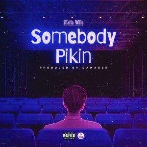 Shatta Wale - Somebody Pikin