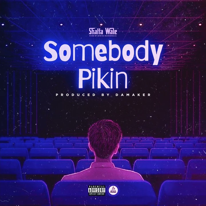 Shatta Wale - Somebody Pikin