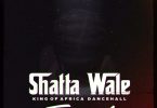 Shatta Wale - Team A