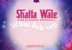 Shatta Wale - What Deh Sup