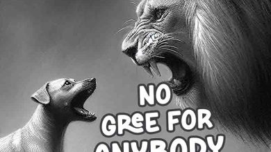 Spyro - No Gree For Anybody