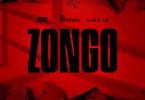 DJ Adwoa- Zongo ft. Amerado, Kweku Flick & Sasco Gh