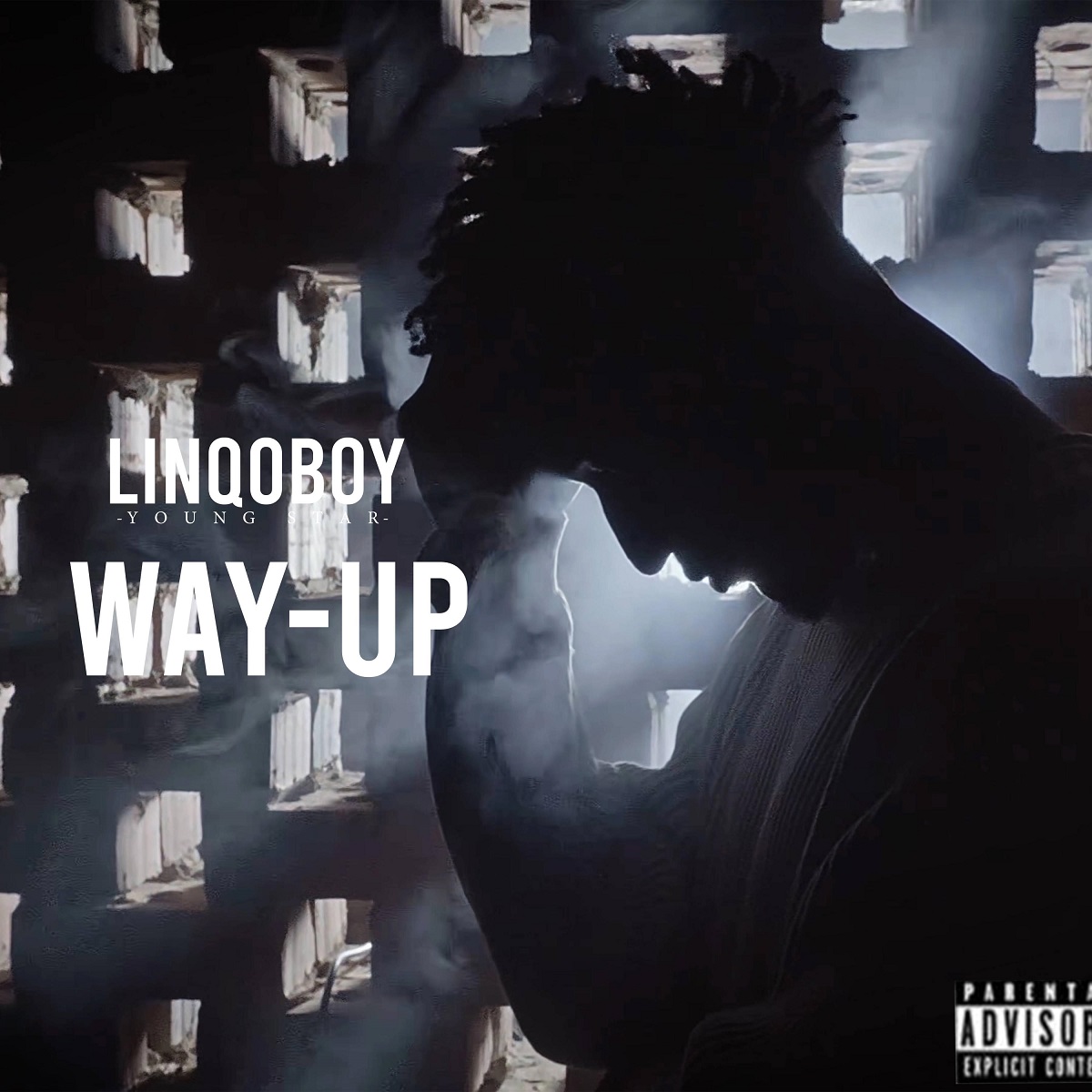 Linqoboy - Way-Up