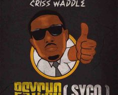 Criss Waddle - Psycho (Syco)