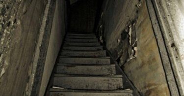 Kawabanga All Night Long