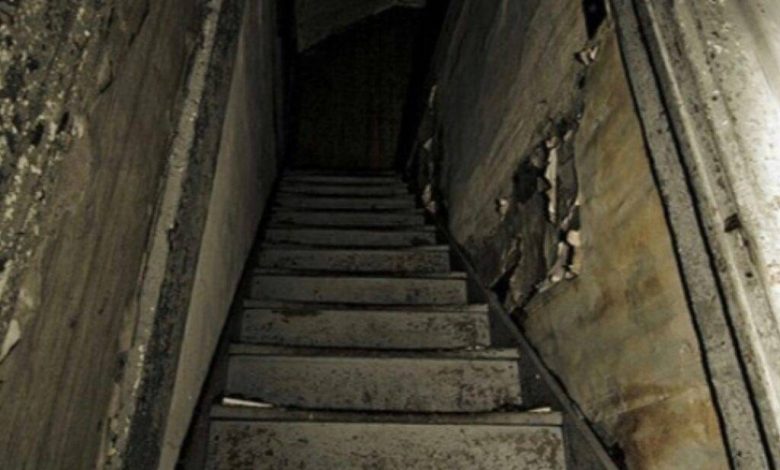 Kawabanga All Night Long