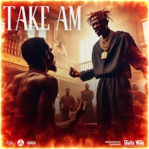 Shatta Wale - Take Am